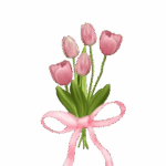 image-removebg-preview (21)