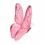 image-removebg-preview (22)